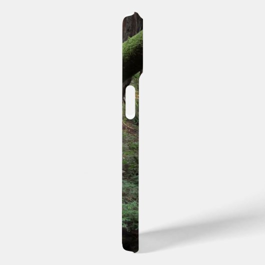 Muir Bossen Stroom Boslandschap Case-Mate iPhone Case (Achterkant / Rechts)