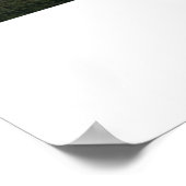 "Muir Bossen van boven" Poster (Hoek)