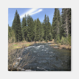 Muir Creek, Oregon Magneet