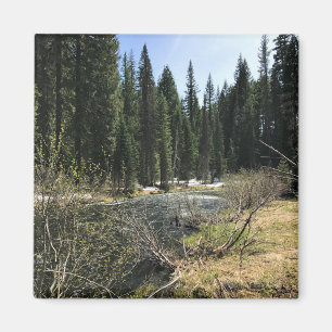 Muir Creek, Oregon Magneet