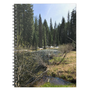 Muir Creek, Oregon Notitieboek