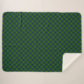 Muir Moore écossais vert bleu plaid (Devant (Horizontal))