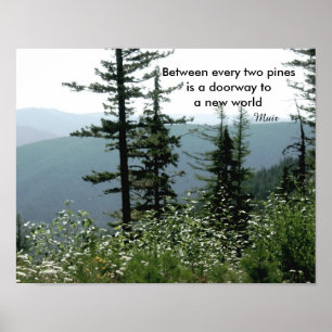 Muir quote poster natuur