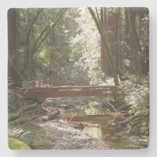 Muir Woods Brug II Stenen Onderzetter