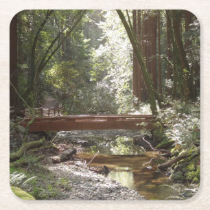 Muir Woods Brug II Vierkante Kartonnen Onderzetter