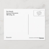 Muir Woods, carte postale (Dos)