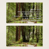 Muir Woods Chemin I Nature Photographie (Devant & derrière)