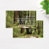 Muir Woods Chemin I Nature Photographie (Bureau)