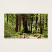 Muir Woods Chemin I Nature Photographie (Dos)