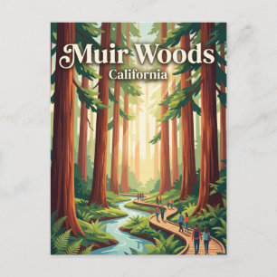 Muir Woods National Monument Californië Briefkaart