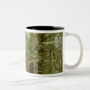 Muir Woods National Monument, Noordelijk Tweekleurige Koffiemok