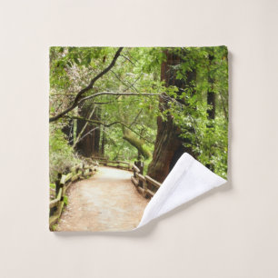 Muir Woods Path II Nature Photography