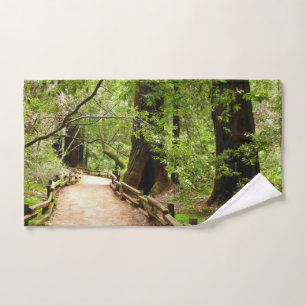 Muir Woods Path II Nature Photography