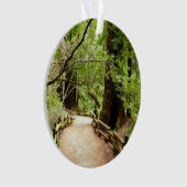 Muir Woods Path II Nature Photography (devant)