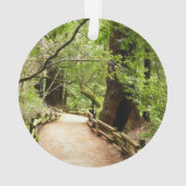 Muir Woods Path II Nature Photography (dos)