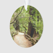 Muir Woods Path II Nature Photography (devant)