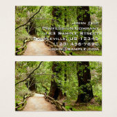 Muir Woods Path II Nature Photography (Devant & derrière)