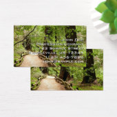 Muir Woods Path II Nature Photography (Bureau)