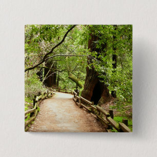 Muir Woods Path II Natuurfotografie Vierkante Button 5,1 Cm
