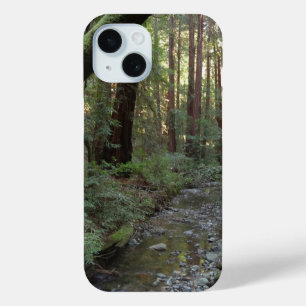 Muir Woods Stroom Bos Landschap
