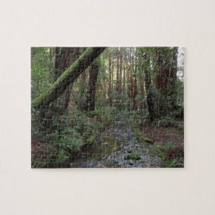 Muir Woods Stroom Bos Landschap Legpuzzel