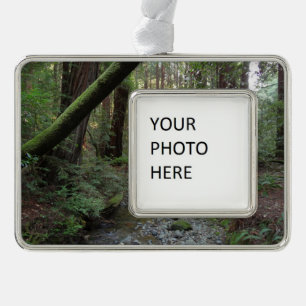Muir Woods Stroom Bos Landschap Verzilverd Kader Ornament