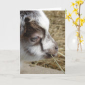 Muis de Baby geit Kaart (Gele Bloem)