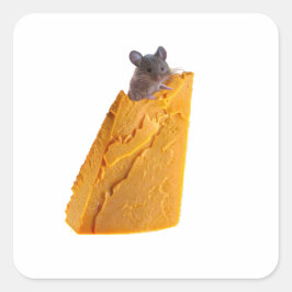 MUIS EN KAAS OP STICKER