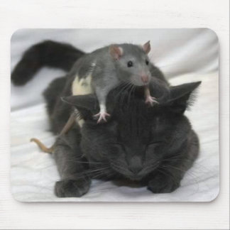 Muis- en kattenmuismatje muismat