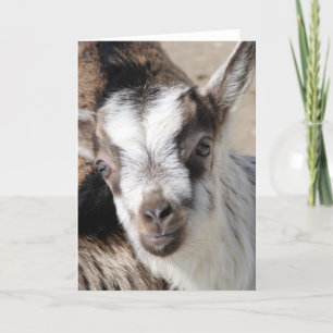 Muis het AlpenKind Kaart