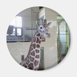 Muis Magnet #2 Magneet