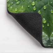 Muis onder een nat blad muismat (Hoek)