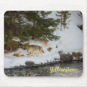 Muis Pad-Yellowstone Coyote Muismat