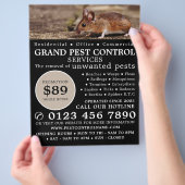Muis, plaagbesturing Adverteren Flyer (Hand)