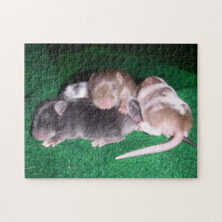 Muis Puzzle:  4 Baby Muizen Legpuzzel
