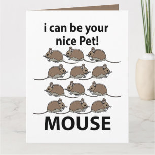 Muis Rat Dier Ik Kan Je Mooie Huisdier Muis Zijn Kaart
