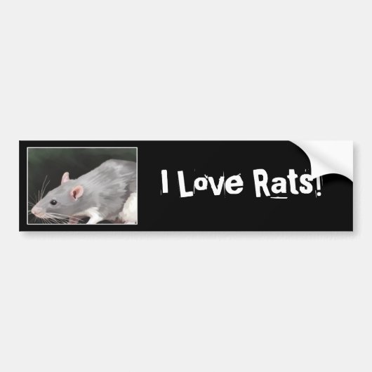 Muis sticker voor op de bumper (Voorkant)