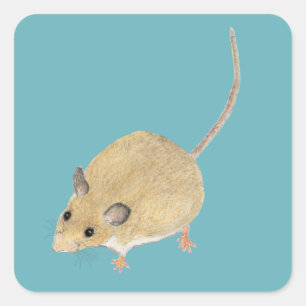 Muis Vierkante Sticker