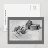 Muis zoekt naar het uitschakelen van Mousetrap Briefkaart (Voorkant / Achterkant)