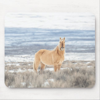 Muisblok van Corona Muismat