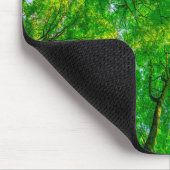 Muismat (Hoek)