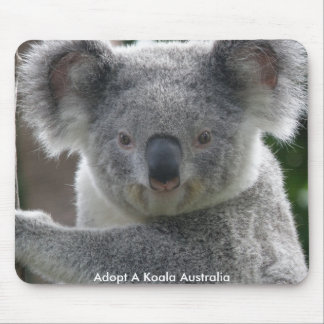 Muismat Adopt A Koala Australië