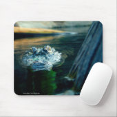 Muismat American Alligator - Foto van: John A... (Met muis)