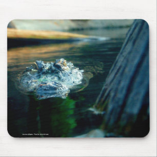 Muismat American Alligator - Foto van: John A...