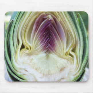 Muismat Artichoke Profile