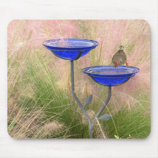 Muismat Bird Bath & Finch (Voorkant)