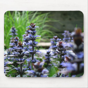 Muismat blauwe wilde bloemen