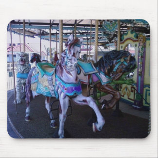 MUISMAT CAROUSEL HORSES