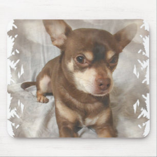 Muismat Chihuahua