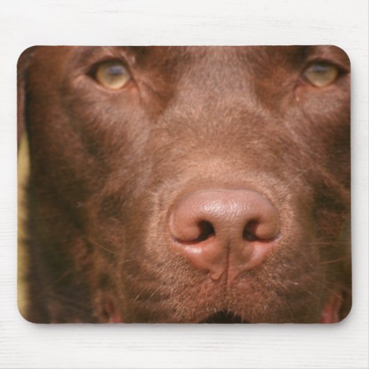 Muismat Chocolade Lab (Voorkant)
